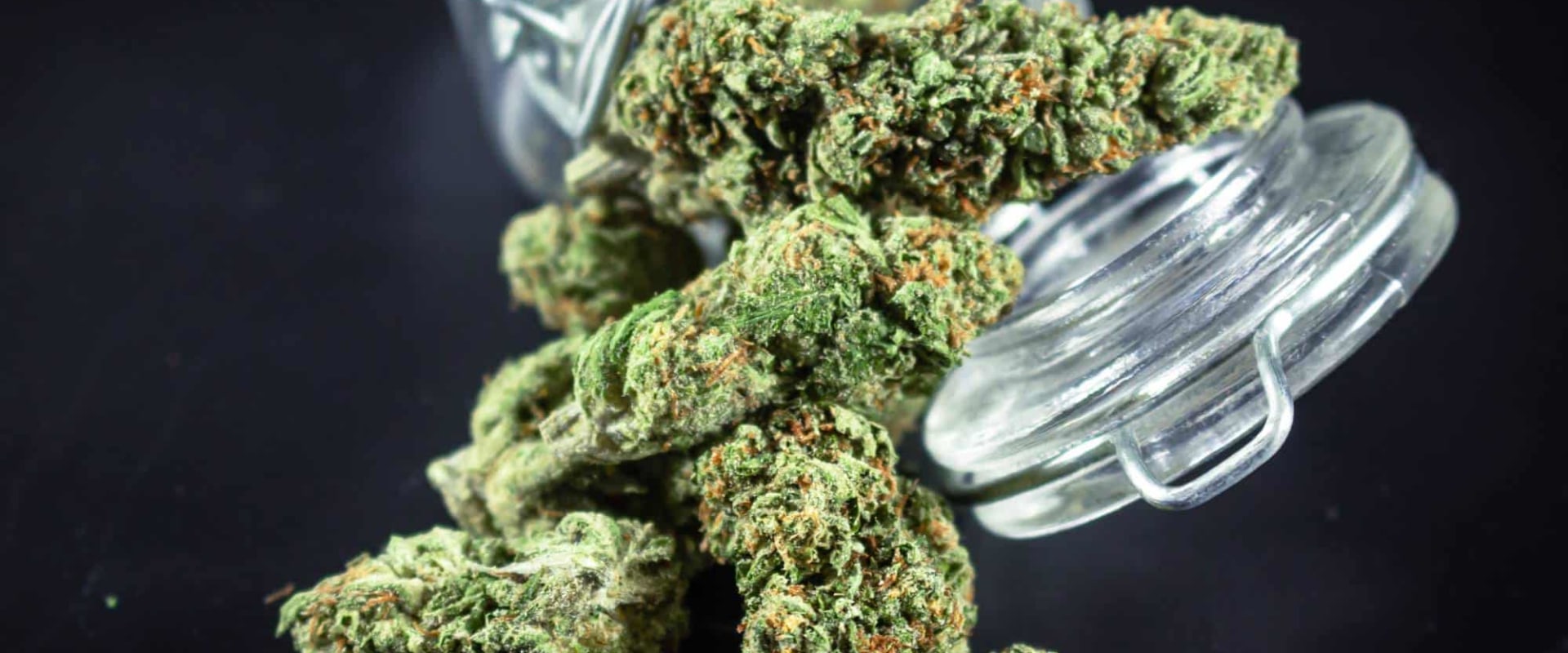 From Curiosity to Care: How an Addiction Treatment Center in Dallas, TX Supports Lasting Recovery Beyond Sour Diesel Indica or Sativa