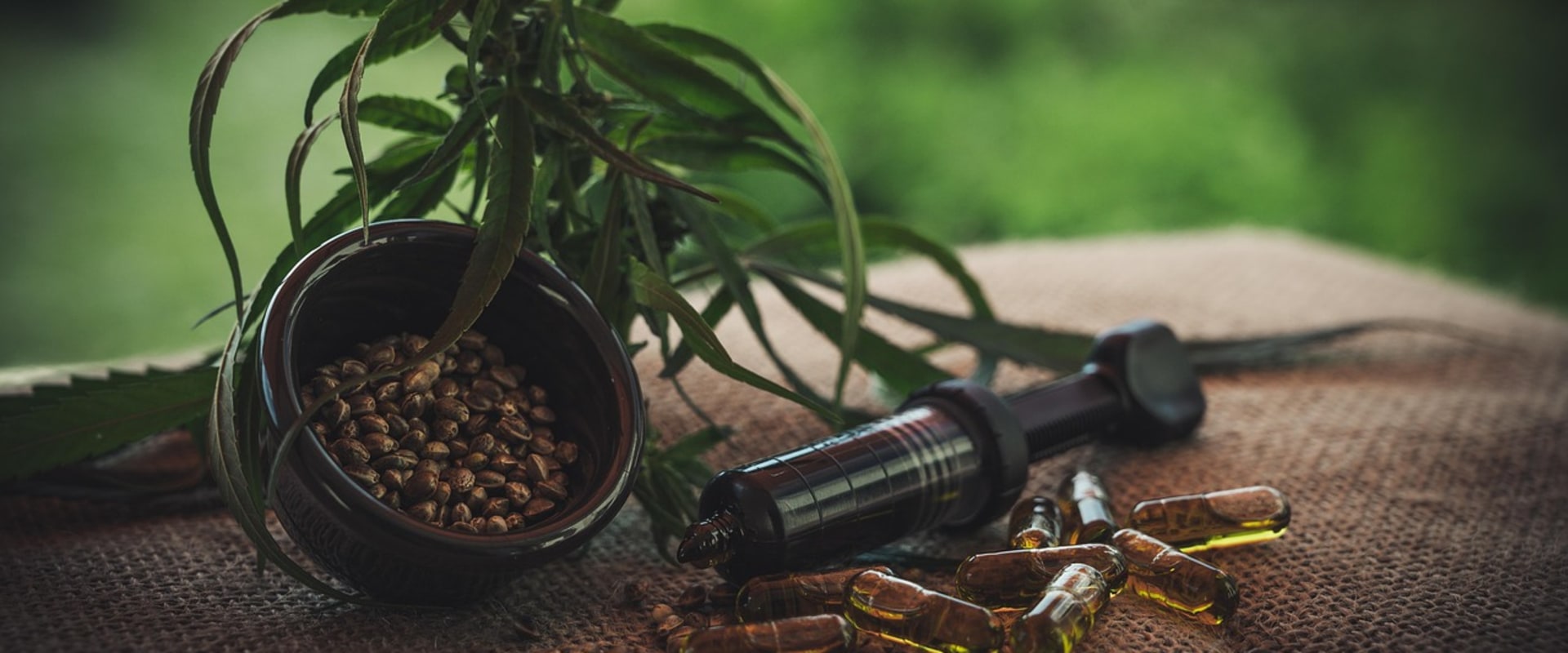 Understanding Sour Diesel's Role in Addiction Treatment