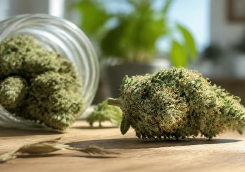 Sour Diesel Indica or Sativa? Exploring Potential Effects on Energy, Focus, and Mood