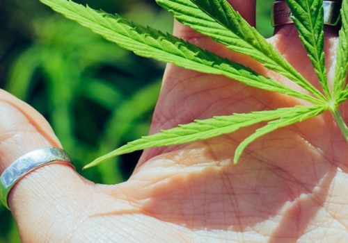 Sour Diesel: Indica or Sativa in Addiction Treatment