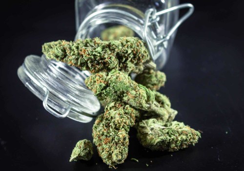 From Curiosity to Care: How an Addiction Treatment Center in Dallas, TX Supports Lasting Recovery Beyond Sour Diesel Indica or Sativa